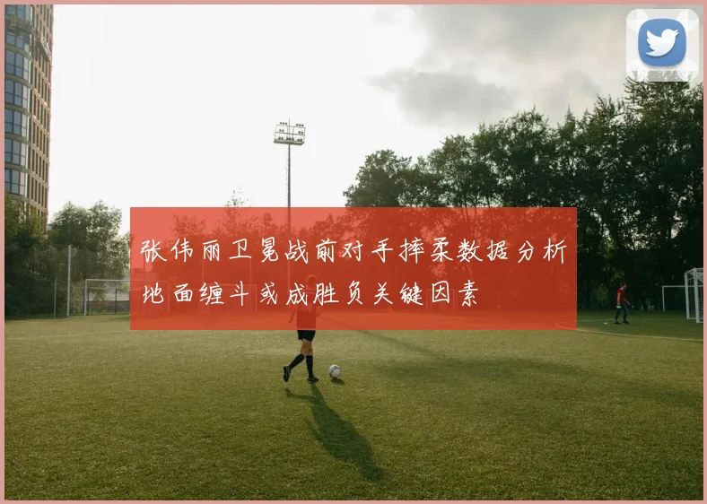 张伟丽卫冕战前对手摔柔数据分析地面缠斗或成胜负关键因素